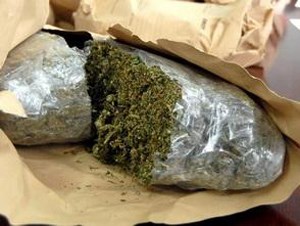 Slika PU_VS/Droga/marihuana - paketić.jpg